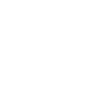 bolo